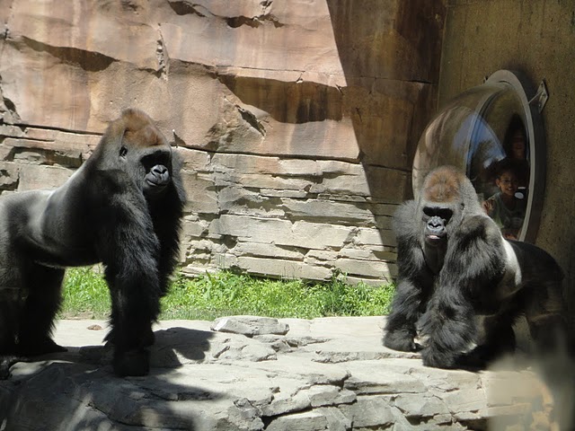 Omaha Zoo