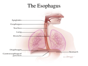 esoph