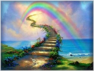 rainb11bridge1112