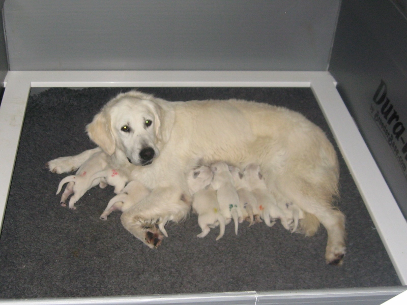 Chloe with her Mommy, Agape