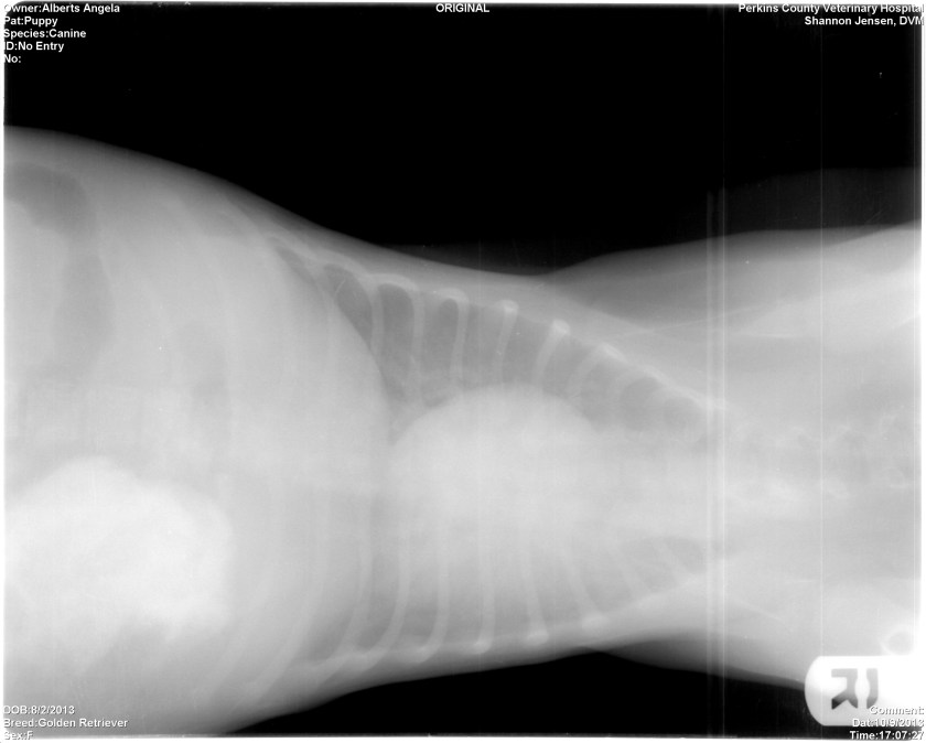 Pup5
